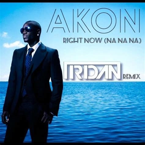 boom boom na na na song|akon right now nana na.